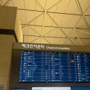(주)모닝투어 | 임산부 베트남 여행 10주차 임산부 비엣젯항공 후기, 공항 혜택 정리 / 필요서류, 모닝투어 후기