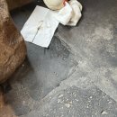 관양산길 | 너무나도 유명한 양산 소토한우 맛집, 아이와 가족외식으로 다녀온 솔직 후기