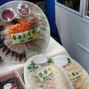 동문 | 제주 동문 시장 다녀온 후기 🐾