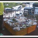 거창-고제-9 이미지