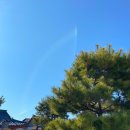 정성담은손칼국수 이미지