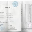 누리 번역 행정사사무소 이미지