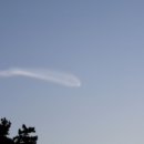 대성축산 2농장 이미지