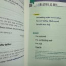 네이티브 영어회화 이디엄 사전 (2) 이미지