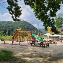 꿀벌랜드 이미지