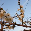 팔영주유소 이미지