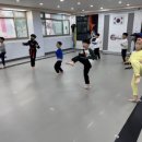 용인대라이온즈태권도장 이미지