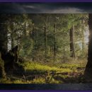 시사교육박물관 김갑진 갤러리 이미지