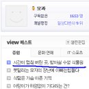 방아실 이미지