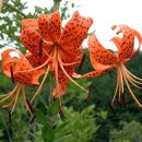 내가 더 이미지