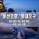 복수보건지소 | 몽산포항 (몽대포구), 충남 태안군 바다 풍경 좋은 차박, 낚시 스팟