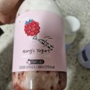 홍스랜드 | 홍스랜드 홍스과일요구르트로 간식 해결