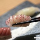 스시모토