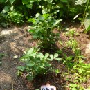 선한유치원 이미지