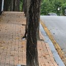 베이커리경 이미지