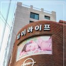 타이라이프