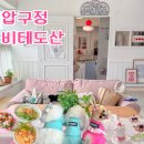 모찌애견샵 | 압구정 비테도산 애견동반카페 브런치 즐기고 온 후기