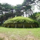 피막골 Daum카페