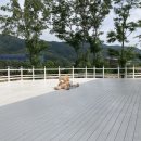 볼따9커피 | 합천 카페, 봉산 합천호 근처 CAFE, 볼따9커피(Boldda9coffee), 애견동반 카페(내돈내산후기)