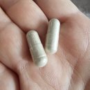 만물대장 | 일본 갈색지방 다이어트 메타웰 시하카라 한 달 먹어본 리얼 후기