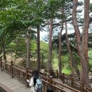 스테이22 | J의 이야기 22. 낙산사 템플스테이 다녀온 후기!