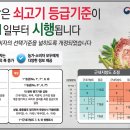 한우 이미지
