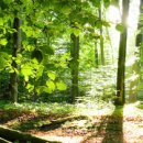 젊은그대 이미지