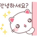 나무요양보호사교육원