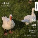 e-재미 | 가민 인스팅트e 내돈내산 구매후기