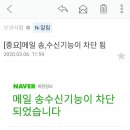 피싱킹 이미지