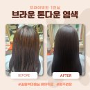 길음1 | 길음역 미용실 브라운 톤다운 염색 후기, 프라이빗한 1인실 (헤어위로 영주원장님)