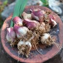 상생의터한의원 이미지