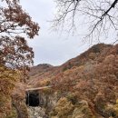 재인 농장 이미지