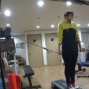 바디케어짐 이미지