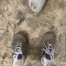 본인농장 | 호주 워홀 세컨비자 카불쳐 농장 정보 +주 1300불 번 후기