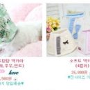 퍼피파우더룸 네이버블로그