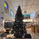 121 | [부산]당감동/개금동까페_커피콜121 내돈내산 후기