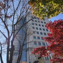 문예로 | [맛집추천] 소금빵 천오백원! 가성비 빵천국 모노브레드타임 인 둔산 내돈내산 후기