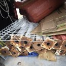 또또어린이집 이미지