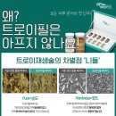 트로이홈케어