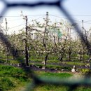 산매농장 이미지