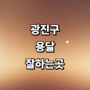 근처 용달이사 추천 화물용달 잘하는곳 전문업체 견적...서비스 침대 라보용달 운송 다마스 렌트 소형 후기