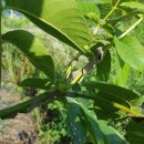 덕곡농장 이미지