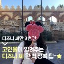 예현메디 | 이시국 끝나면 바로 달려가고 싶은, 도쿄 디즈니씨 리얼 꿀팁✨ (일본 여행/ 도쿄 여행/ 도쿄 디즈니씨...