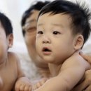 서준 Daum카페