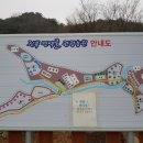 진북편백골관광농원캠핑장 이미지