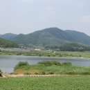 강변살자 이미지