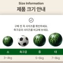 부여농장 | 명가네농장 제철과일 고당도꿀수박 배송후기