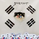 경기도 수원시 장안구 하률로12번길 이미지