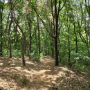 남동체육관 이미지